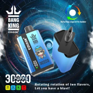 Bang King 30000 Puffs Disposable Vape (10PCS)EU