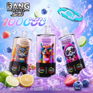 Bang Leader Stoll 4 in 1 100K Vape | 100000 Puffs