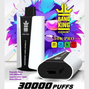 Bang King 30000 PRO 30k puffs (10PCS)EU