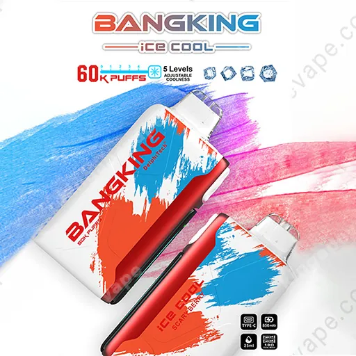 Bang King Ice Cool 60k (10PCS)EU - immagine 7