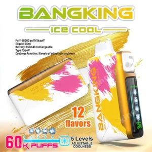 Bang King Ice Cool 60k （10PCS）EU