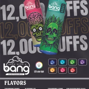 Bang  12000 Puffs  Disposable Vape （10PCS）EU