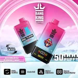 Bang King 50000 Puffs（10PCS）EU