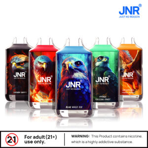 JNR FALON 16000 box da 10 disponibile nel catalogo puff