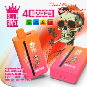 Bang Blaze 40K Dual Flavor Disposable Vape  （10PCS）EU