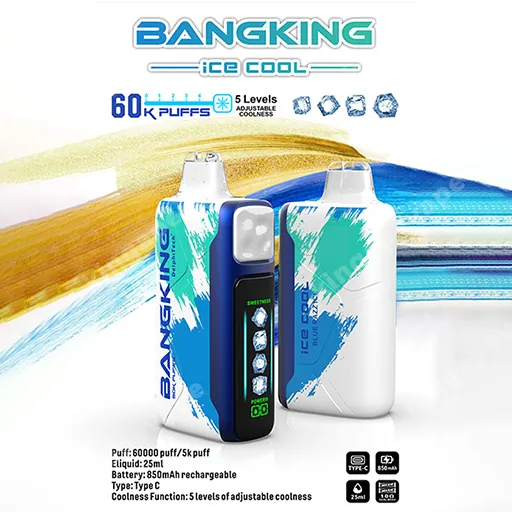 Bang King Ice Cool 60k (10PCS)EU - immagine 12