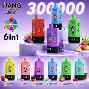 Bang Leader Stoll 300K 6-in-1 Vape | 300000 Puffs