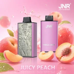 JNR Mega Box Vape | 25000 Puffs (50 PCS)